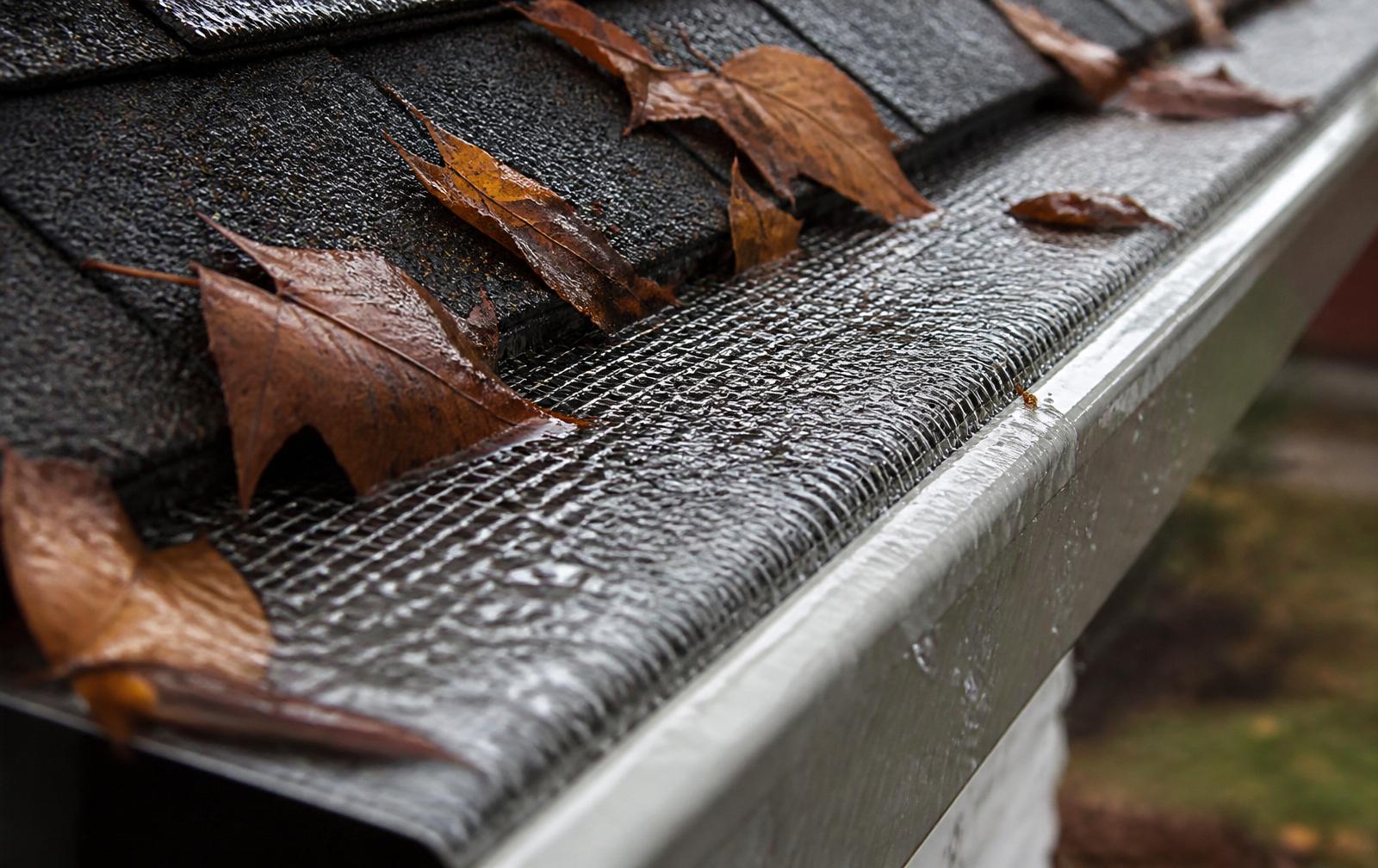 Close-up of micro-mesh gutter guard blocking leaves while rainwater flows through